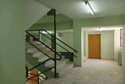  از خوابگاه تا آزمایشگاه؛ تابستانی پرتلاش در دانشگاه شهید باهنر