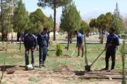 کاشت 65 اصله نهال در دانشگاه شهید باهنر کرمان