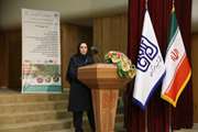 تولید اولین رقم اصلاح شده زیره کشور در دانشگاه شهید باهنر کرمان