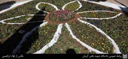 با زیباسازی فضای سبز، دانشگاه طراوتی مضاعف گرفت