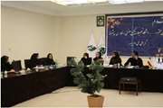 گردهمایی روسای مراکز مشاوره شورای استانی کرمان