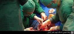 عمل سزارین اسب در دانشکده دامپزشکی دانشگاه باهنر