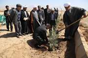 مراسم درختکاری در دانشگاه برگزار شد