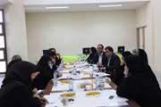 کارگروه بررسی آخرین وضعیت اولویت بندی مسائل مرتبط با زنان و خانواده در استان کرمان