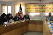 کارگروه بررسی چالش های اقتصادی استان و ارائه راهکارها