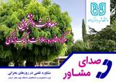 مشاوره تلفنی در روزهای بحرانی